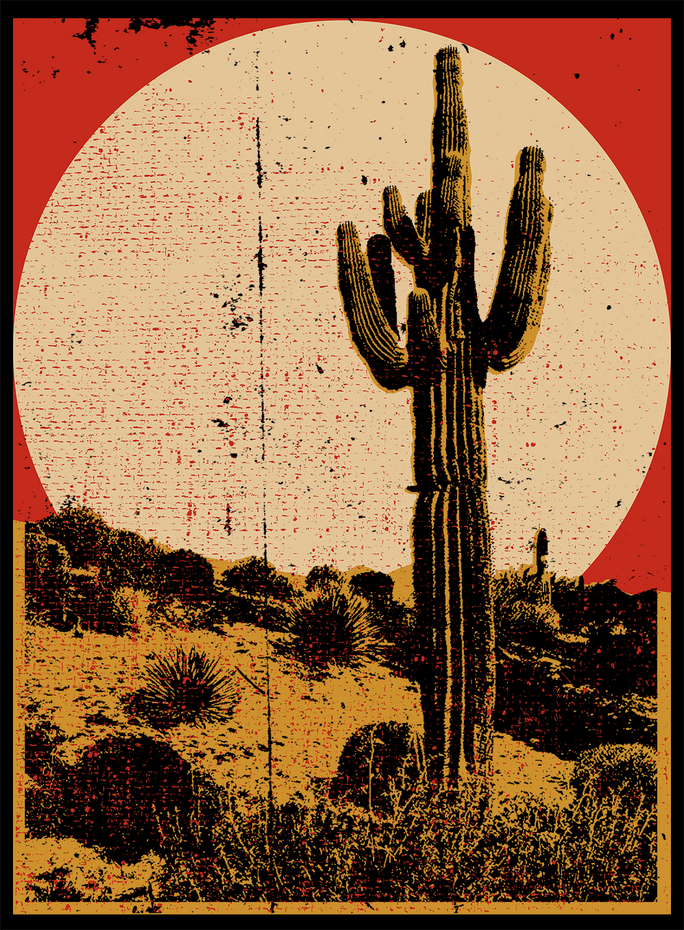 Southwest Desert Cactus T-Shirt