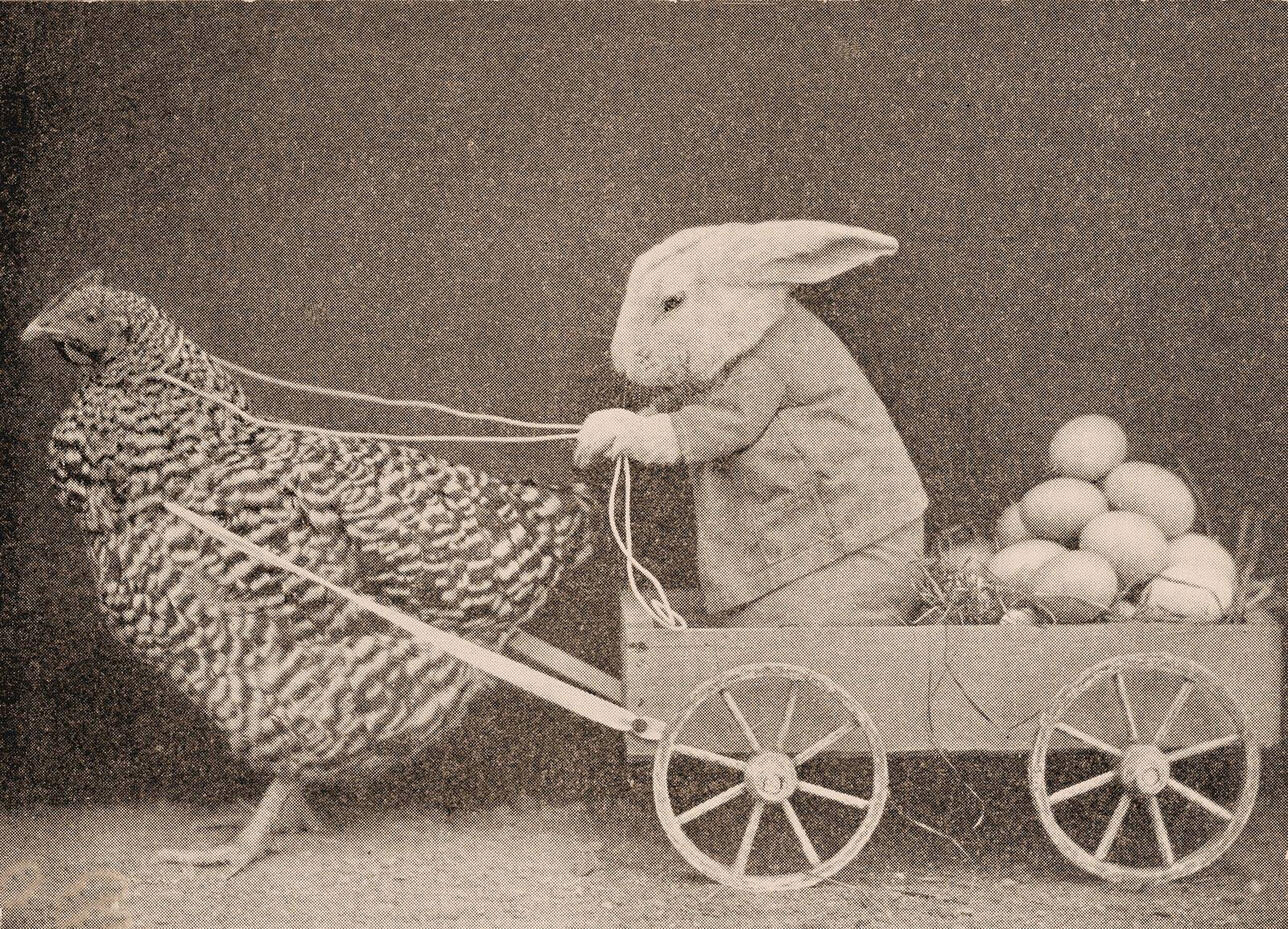 If you celebrate it, HAPPY EASTER! Photo by Harry Whittier Frees