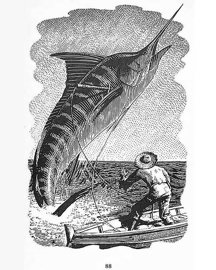 Illustration from The Old Man And The Sea (UK Ed) by Ernest Hemingway, 1955. Illustrations by C.F. Tunnicliffe &amp; Raymond Sheppard